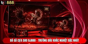 Đá Gà Cựa Dao BJ888 - Trường Đấu Khắc Nghiệt Bậc Nhất
